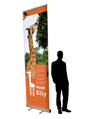 roll-up 3 meter