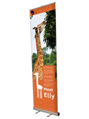 Roll-Up banner 100x300
